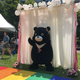Taipei's mascot, a black bear named Bravo, alone on the rainbow aisle.